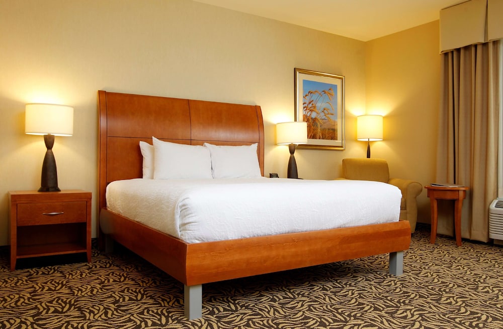 Room, 1 King Bed, Accessible (Mobility/Hearing, Bathtub) photo 2