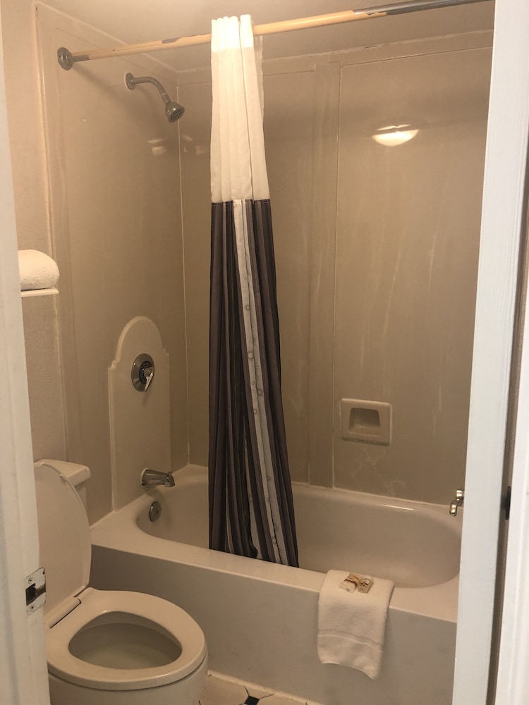 Executive Room, 2 Queen Beds, Non Smoking, Pool View - Photo 8