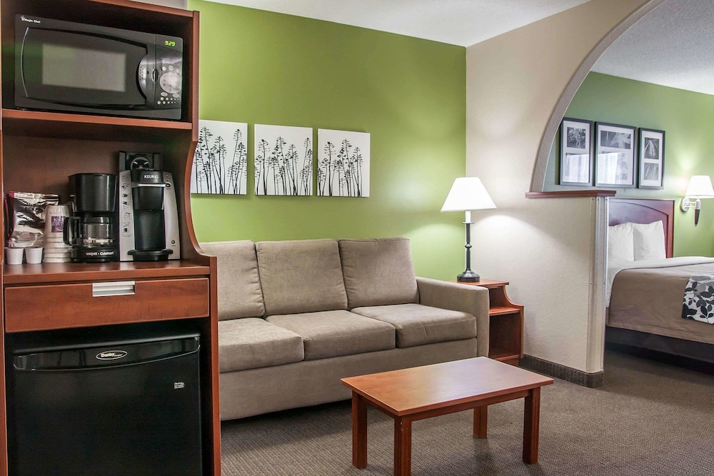 Suite, 1 King Bed with Sofa bed, Non Smoking