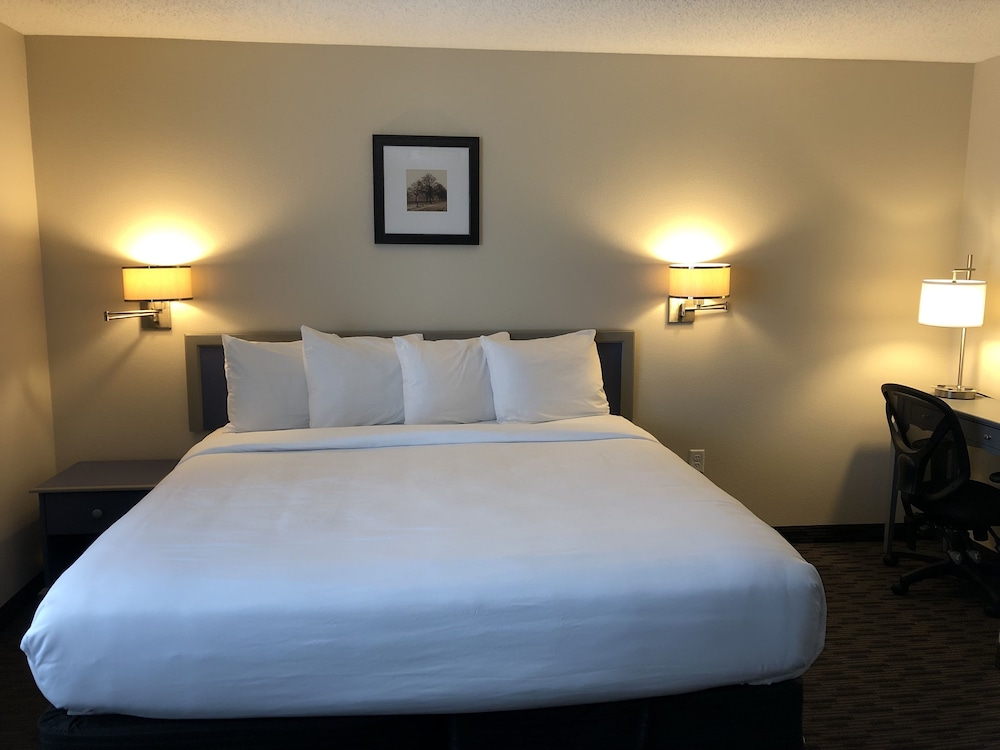 Standard King Room ADA