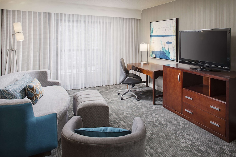 Suite, 1 King Bed, Accessible, Non Smoking - Photo 4