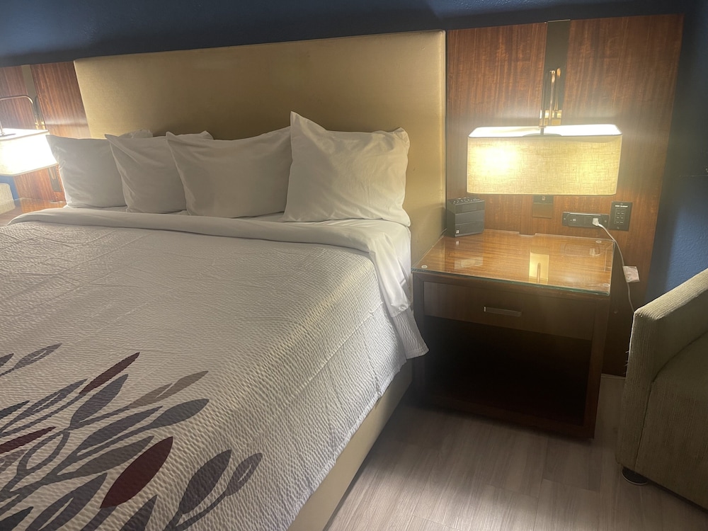 Suite, 1 King Bed, Non Smoking - Photo 5