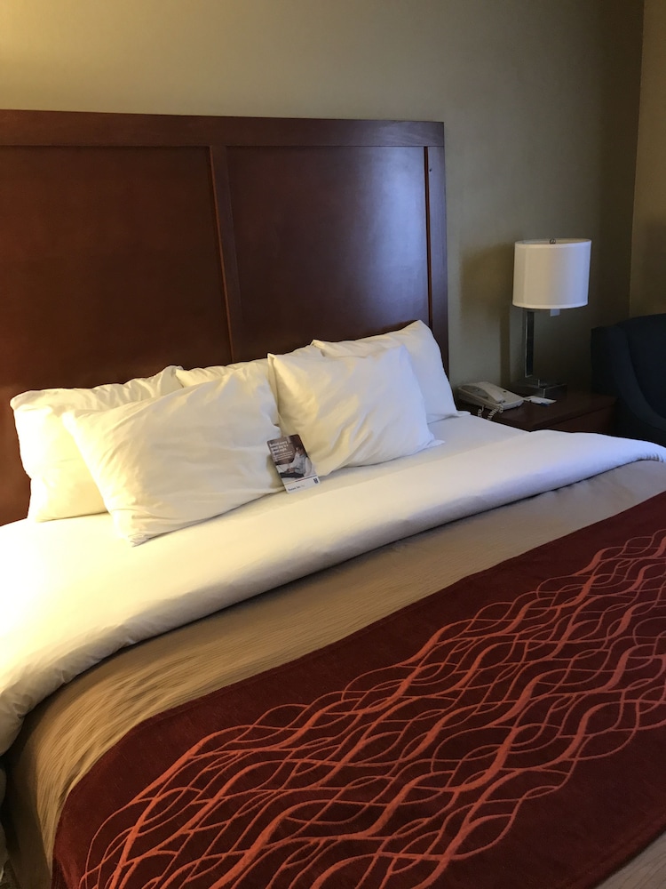Standard Room, 1 King Bed, Non Smoking - Photo 9