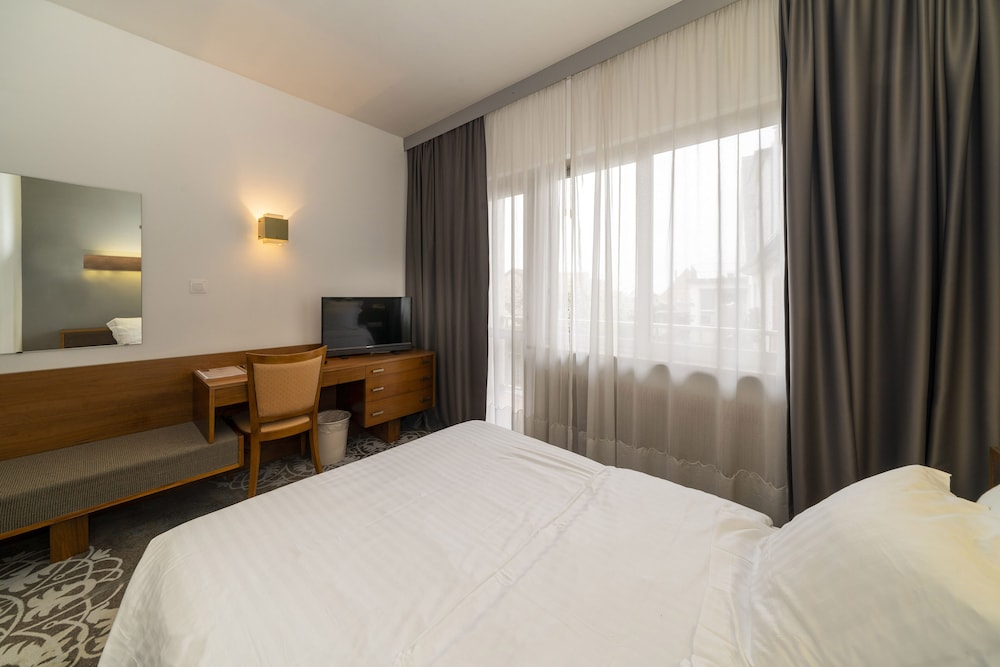 Standard Double Room Single Use, Balcony photo 1