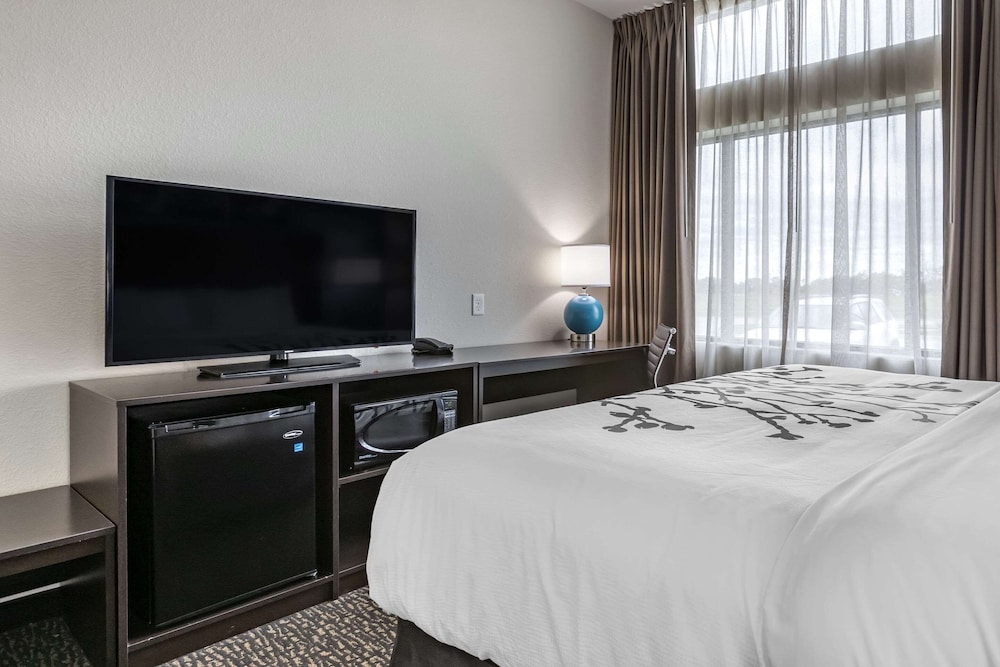 Standard Room, 1 King Bed, Non Smoking - Photo 7