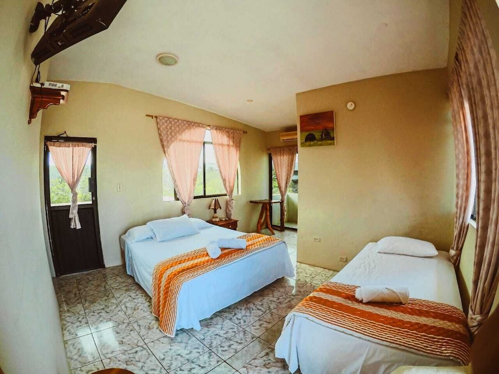 Deluxe Double or Twin Room photo 2
