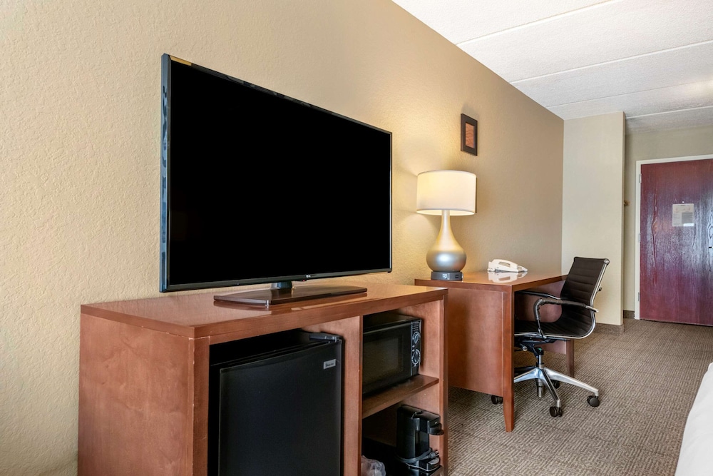 Suite, 1 King Bed, Non Smoking - Photo 4