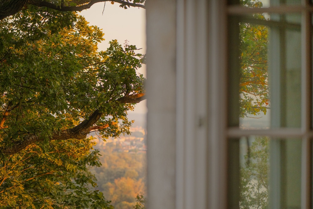 Panorama Apartment View - Photo 15