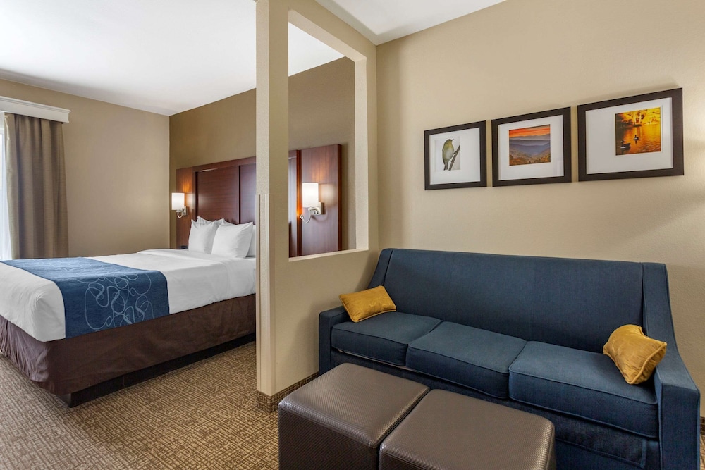Suite, 1 King Bed and Sofa Bed photo 3