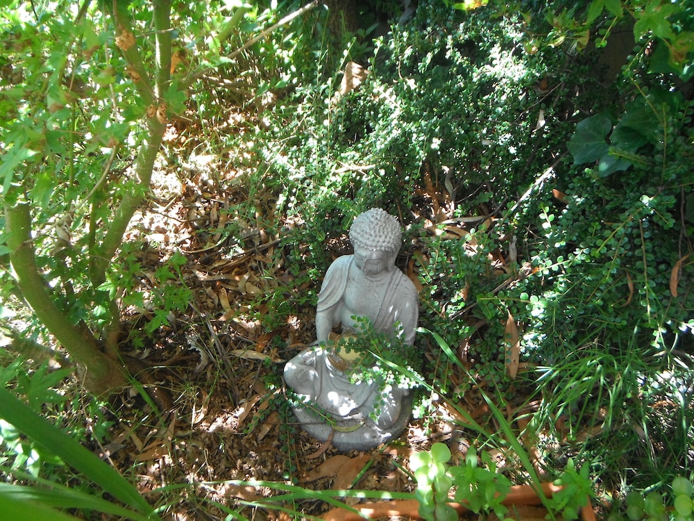 Crimson Villa photo 2