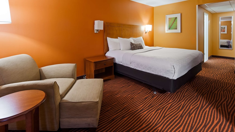 Standard Room, 1 King Bed, Non Smoking, Microwave - Photo 3