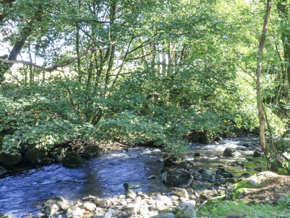 Cottage photo 1