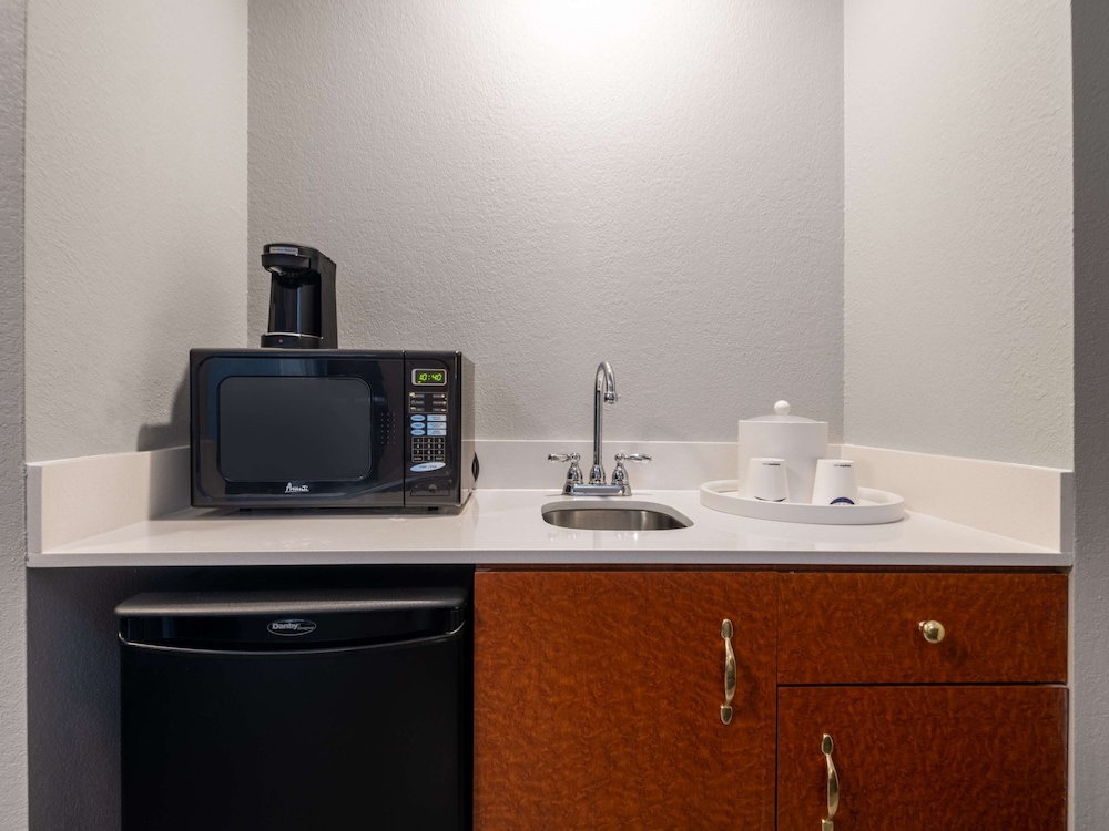 Suite, 1 Bedroom - Photo 1