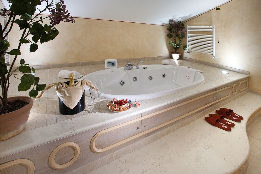 Attic Master Suite with Velux windows and Spa access - Photo 4