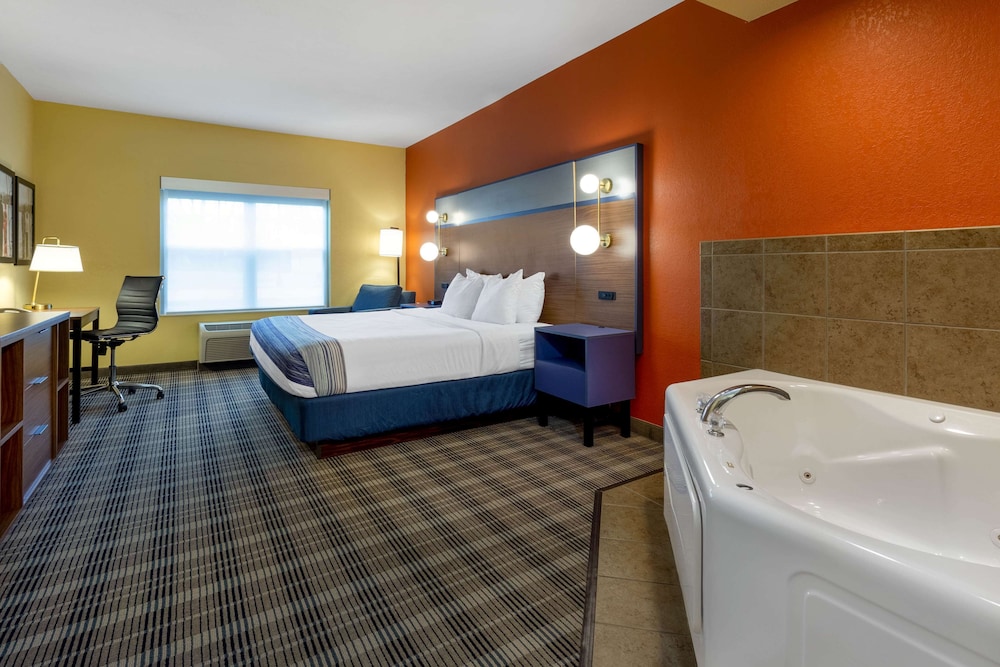 Studio Suite, 1 King Bed, Accessible, Non Smoking (Roll-In Shower) - Photo 1