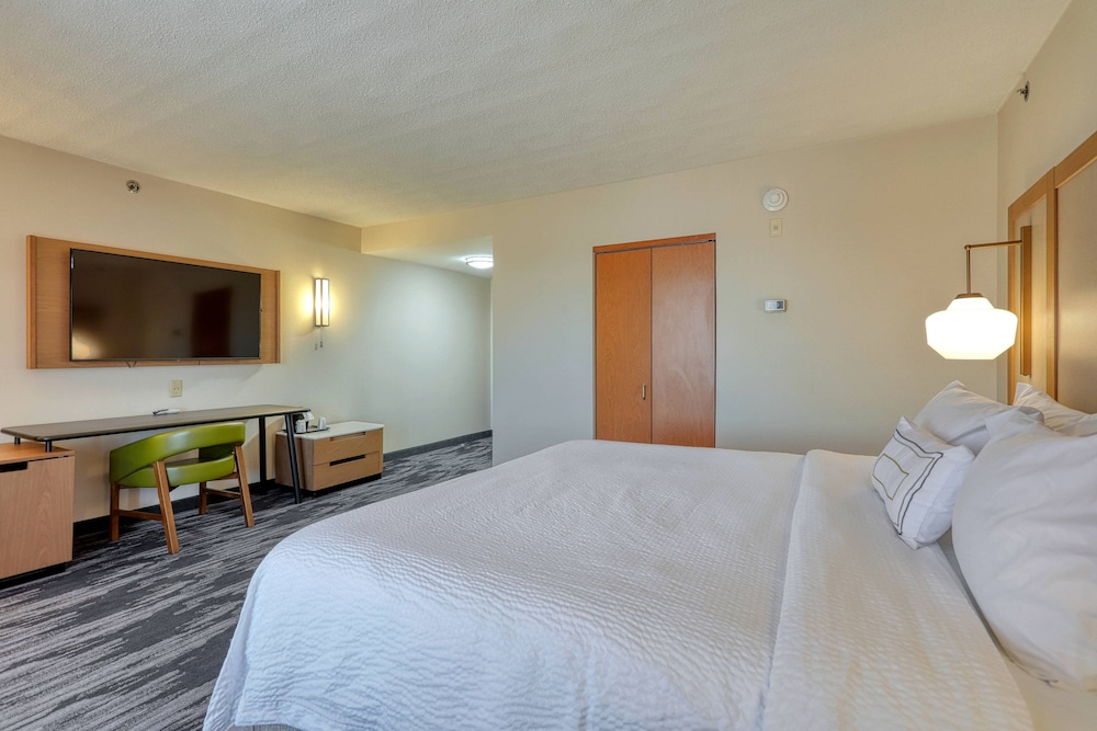 Executive Studio, 1 King Bed with Sofa bed - Photo 7