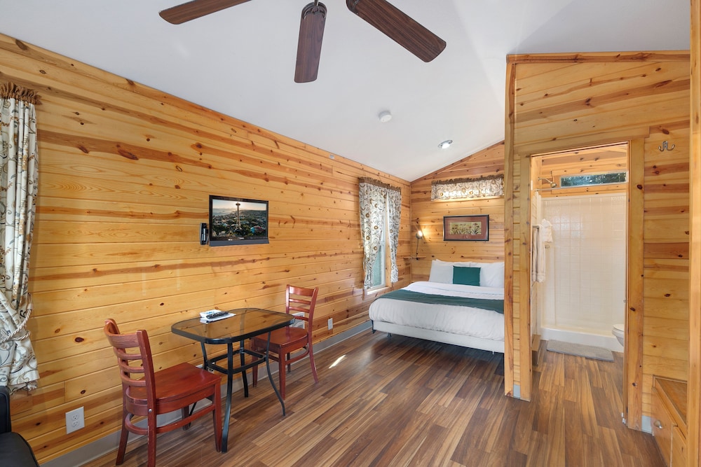 Cabin 9