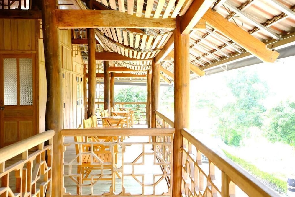 Standard Shared Dormitory photo 3