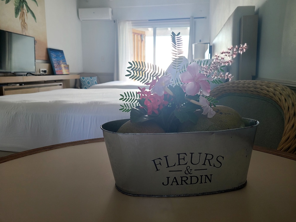 Comfort Studio, 1 Bedroom photo 3