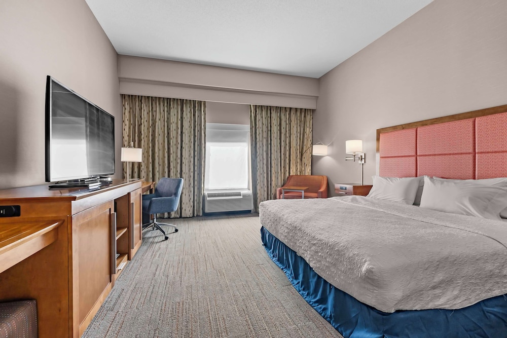 Room, 1 King Bed, Accessible, Non Smoking (Roll In Shower)