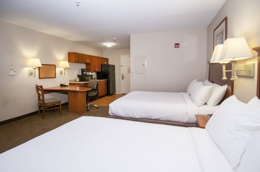 Studio Suite, 2 Queen Beds - Photo 3