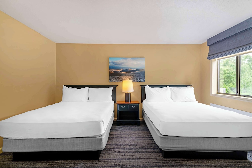 Suite, 2 Queen Beds, Non Smoking, Kitchen (Third bed is a Sofabed) - Photo 9