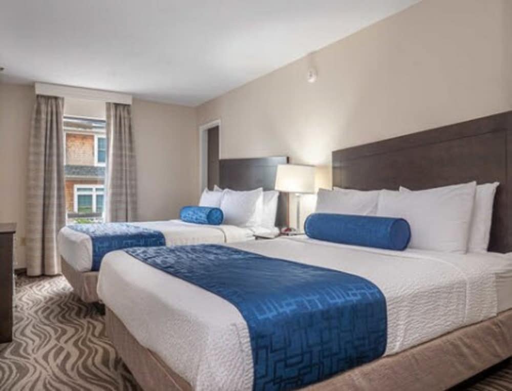 Suite, Multiple Beds, Lake View photo 1
