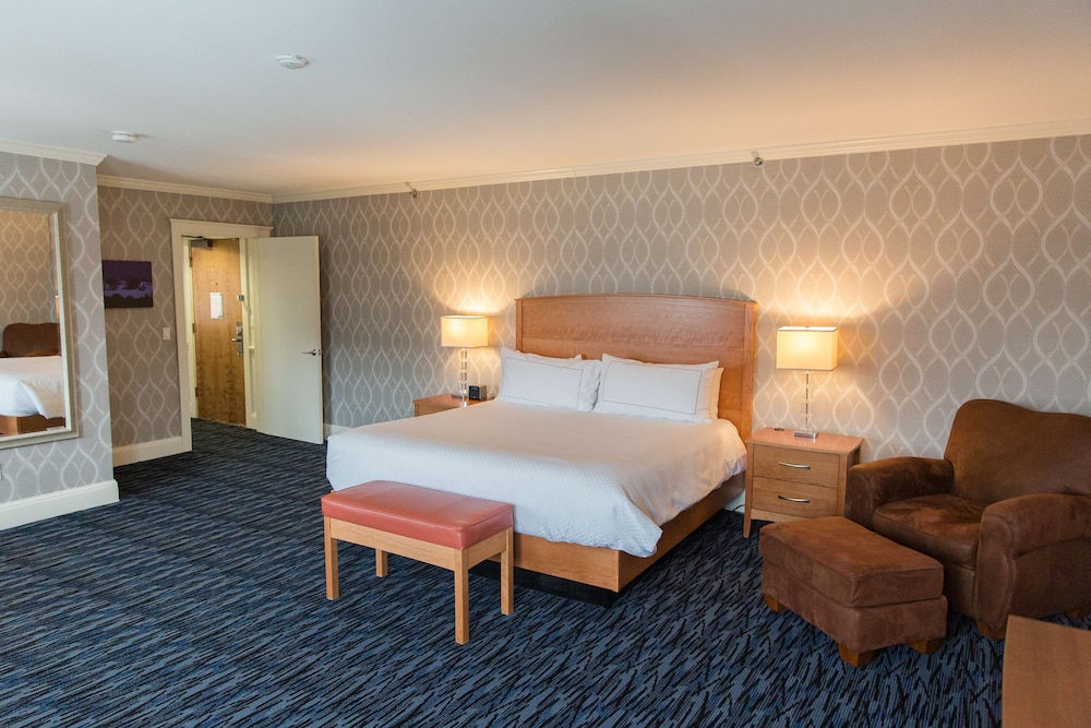 Premium Suite, 1 Bedroom photo 1