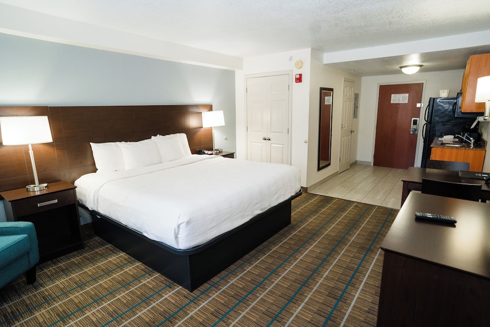 Standard Room, 1 King Bed, Non Smoking photo 1