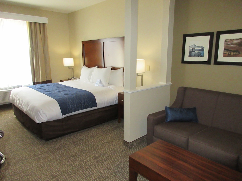 Suite, 1 King Bed With Sofa Bed, Non Smoking photo 1