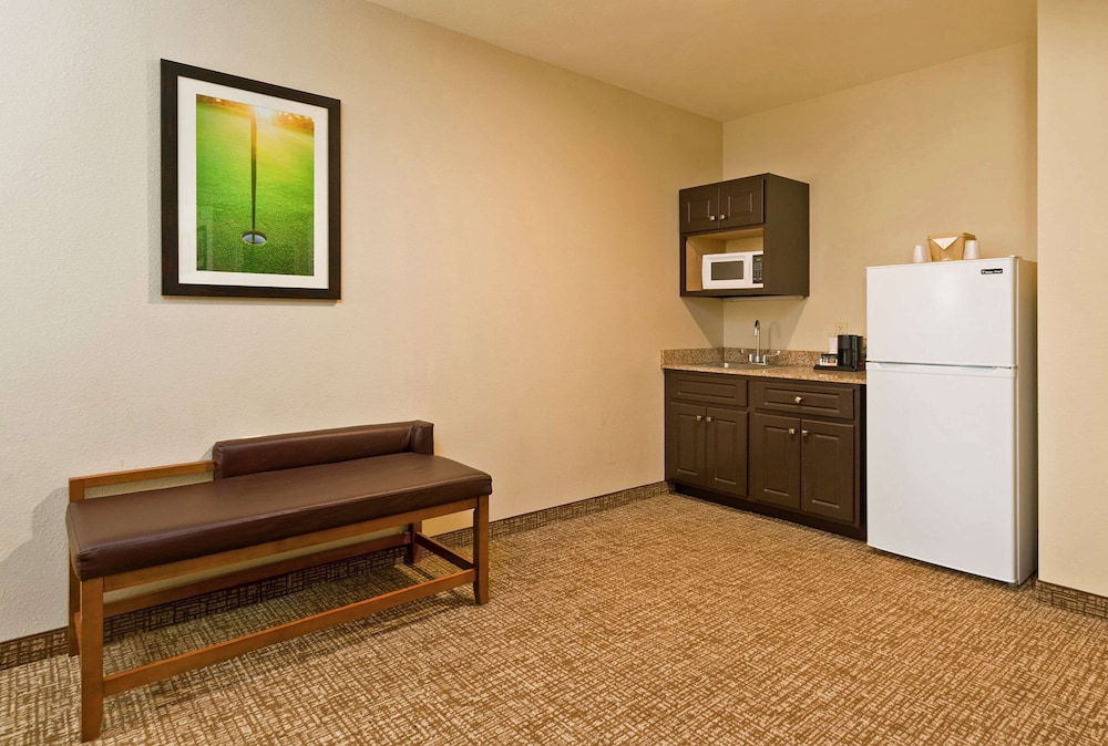 Room, 1 King Bed, Non Smoking, Refrigerator - Photo 8