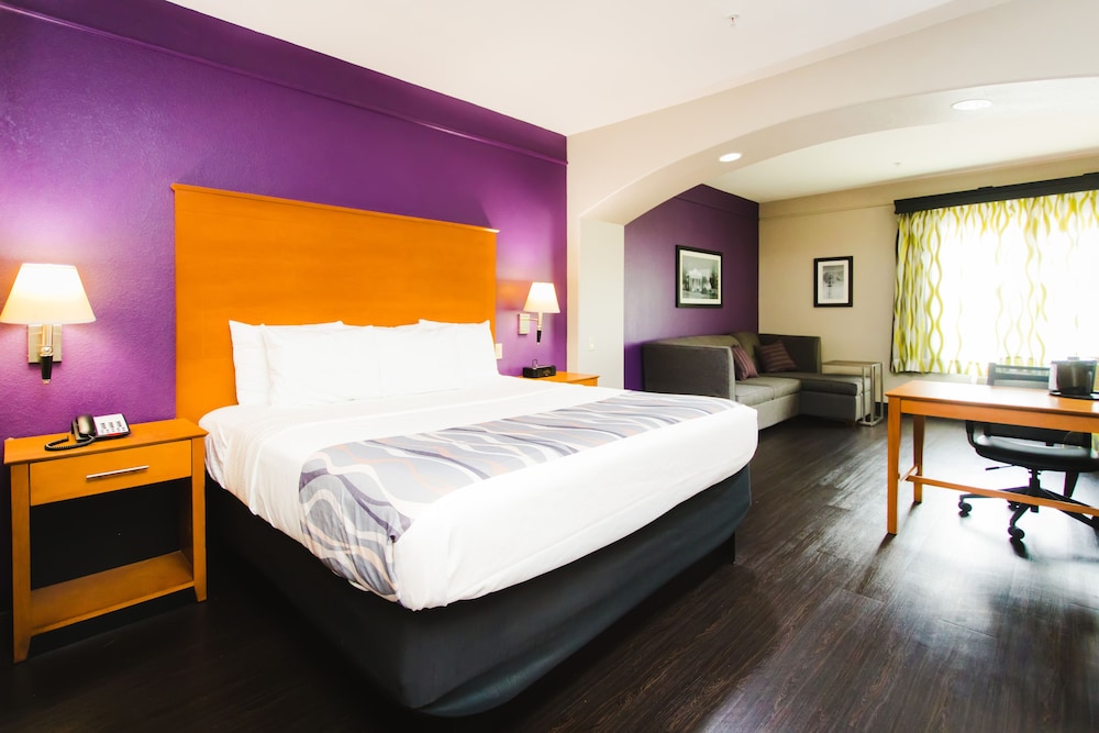 Business Single Room photo 2