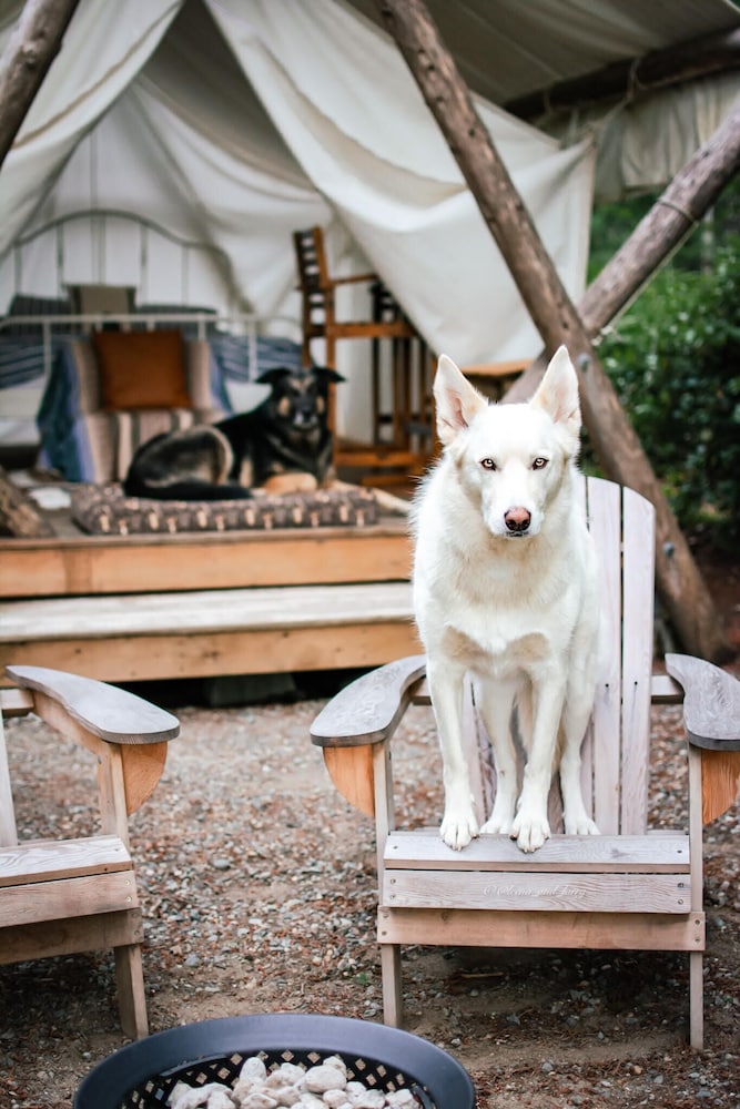 Prospector Glamping photo 1