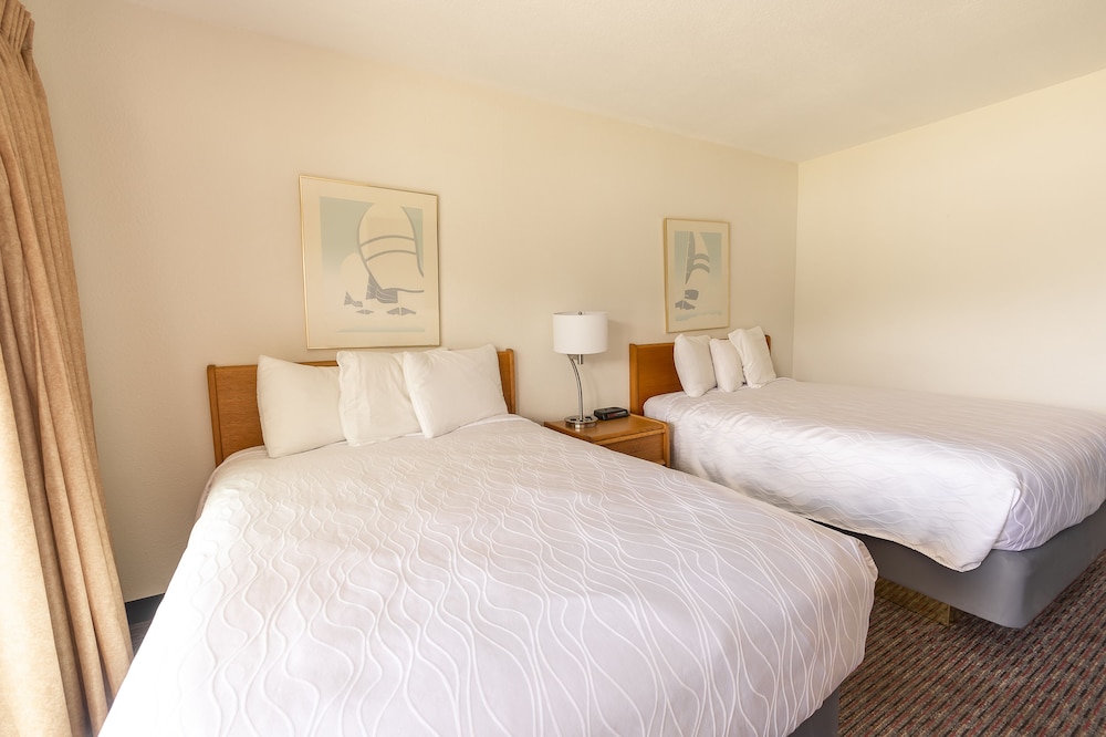 Standard Room, 2 Double Beds