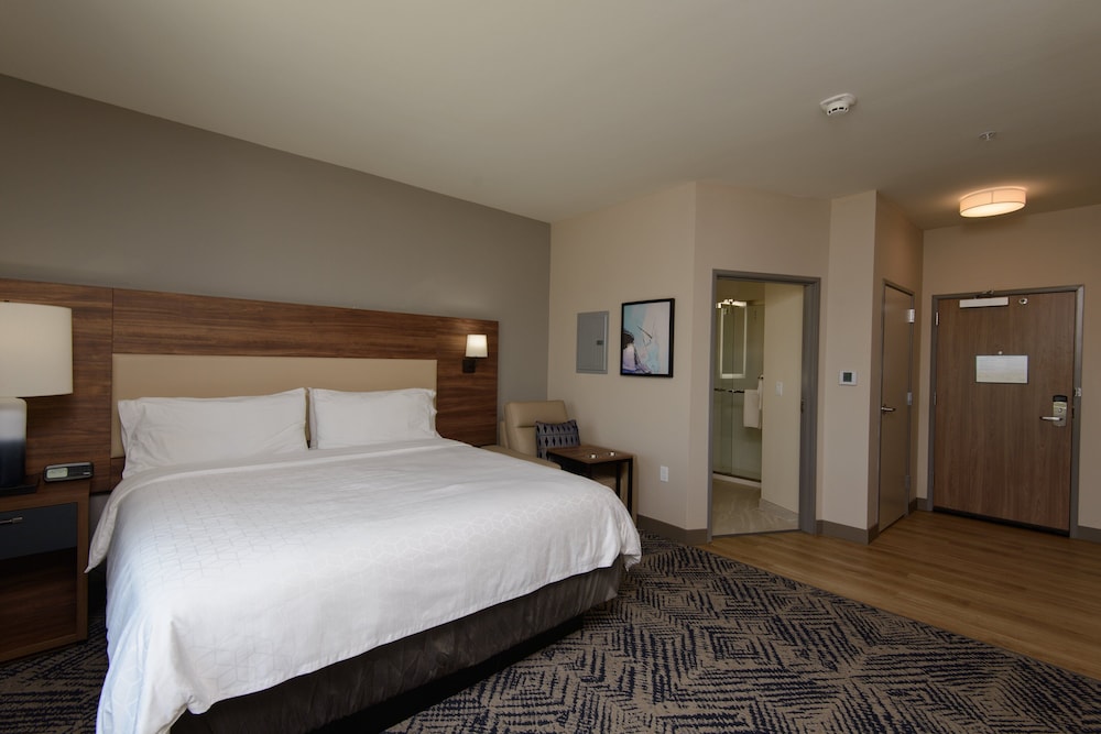 Room, 1 King Bed, Accessible (Communications, Roll-In Shower)