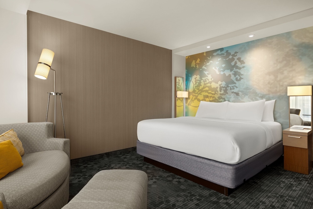 Room, 1 King Bed with Sofa bed photo 1