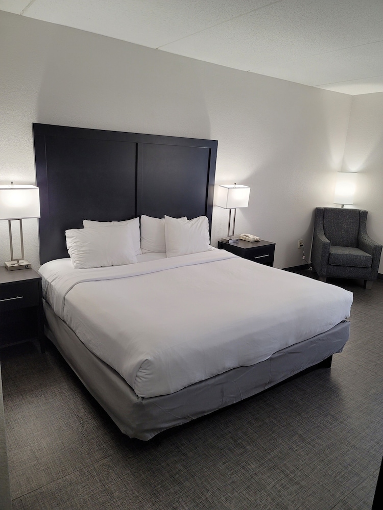Basic Room, 1 Queen Bed, Accessible, Non Smoking - Photo 8