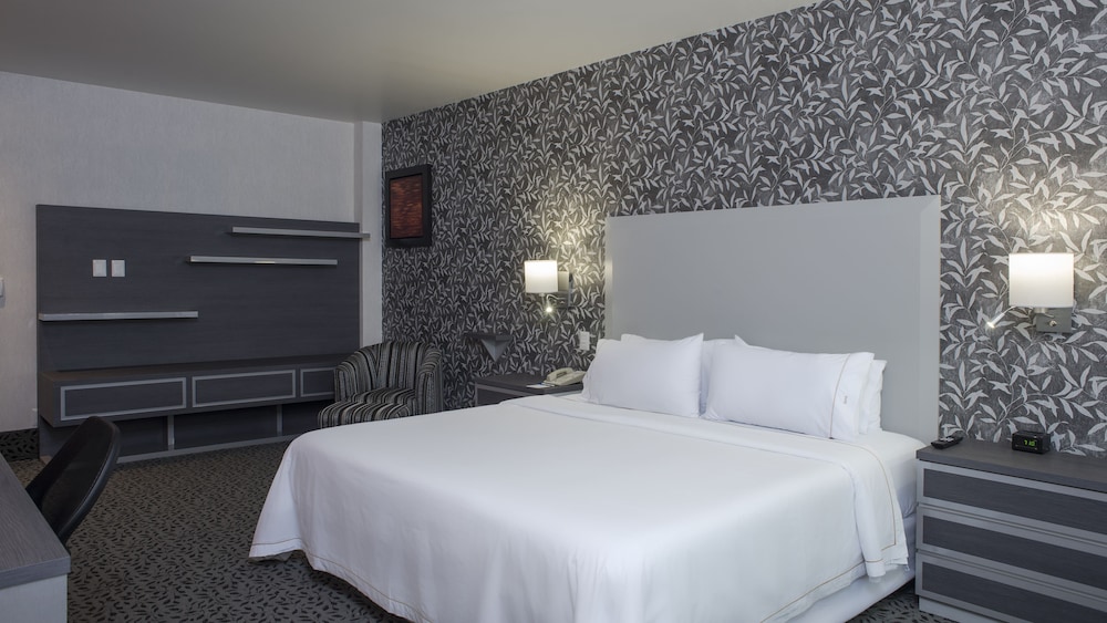 Studio Suite, 1 King Bed with Sofa bed photo 1