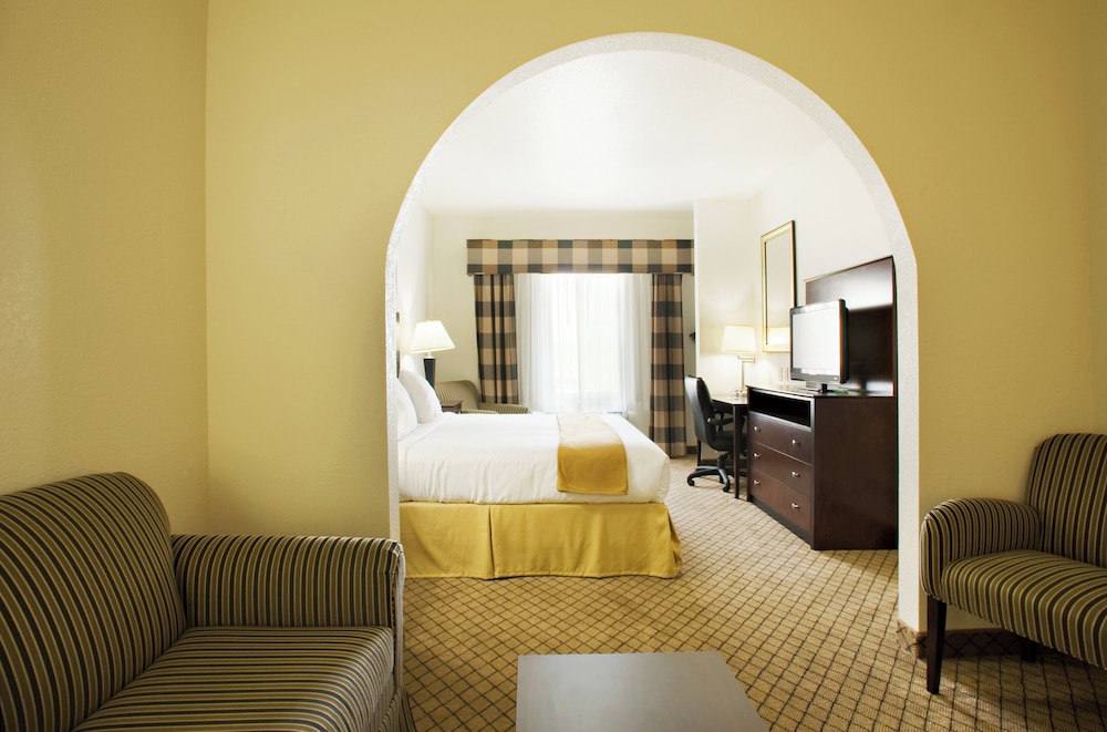 Suite, 1 King Bed photo 1