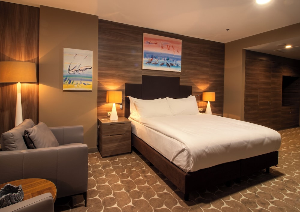Room, 1 King Bed, Accessible - Photo 2