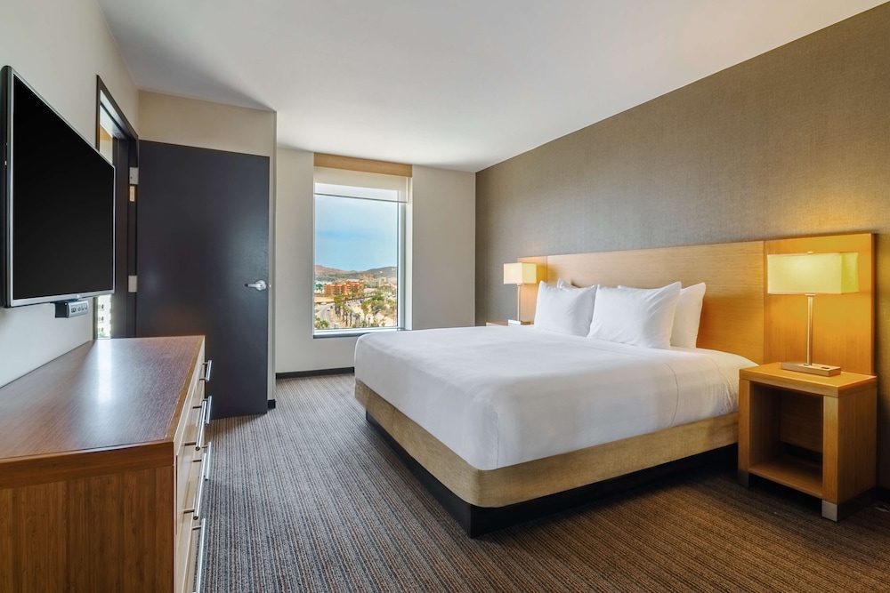 Suite, 1 King Bed With Sofa Bed