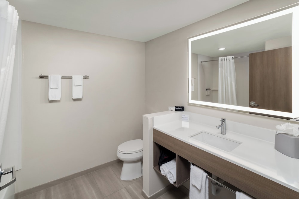 Suite, 1 King Bed (Bath Shower Combination) photo 3