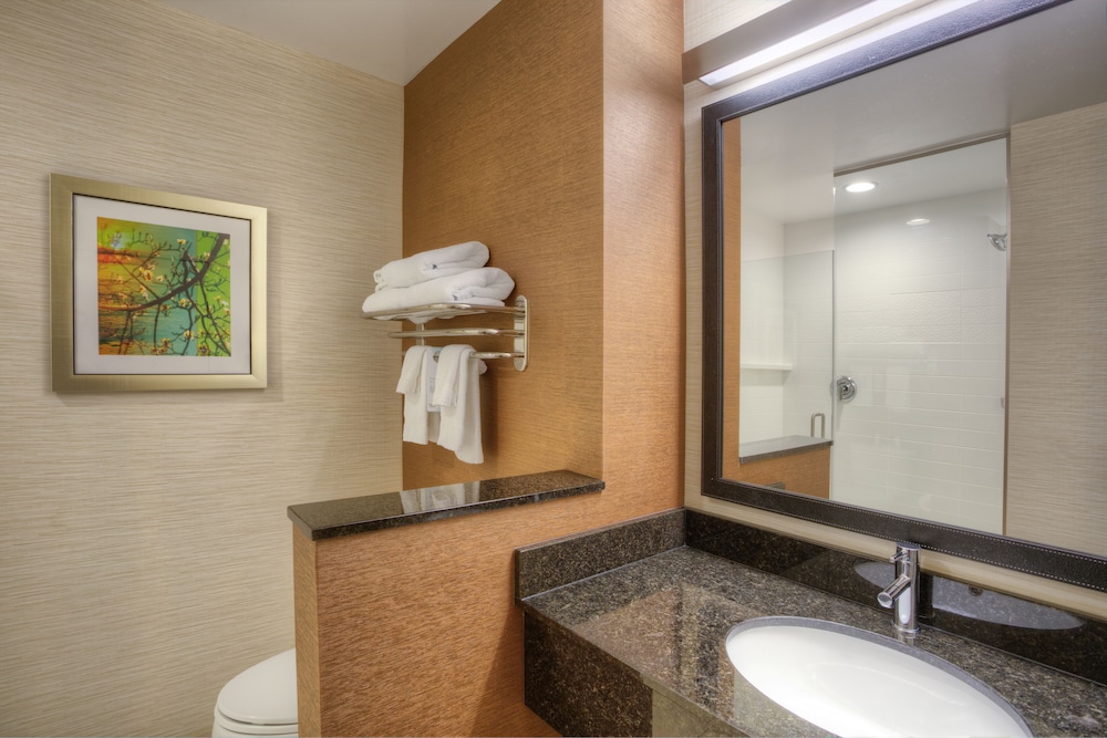 Fairfield Inn & Suites by Marriott Austin San Marcos, 사진 6