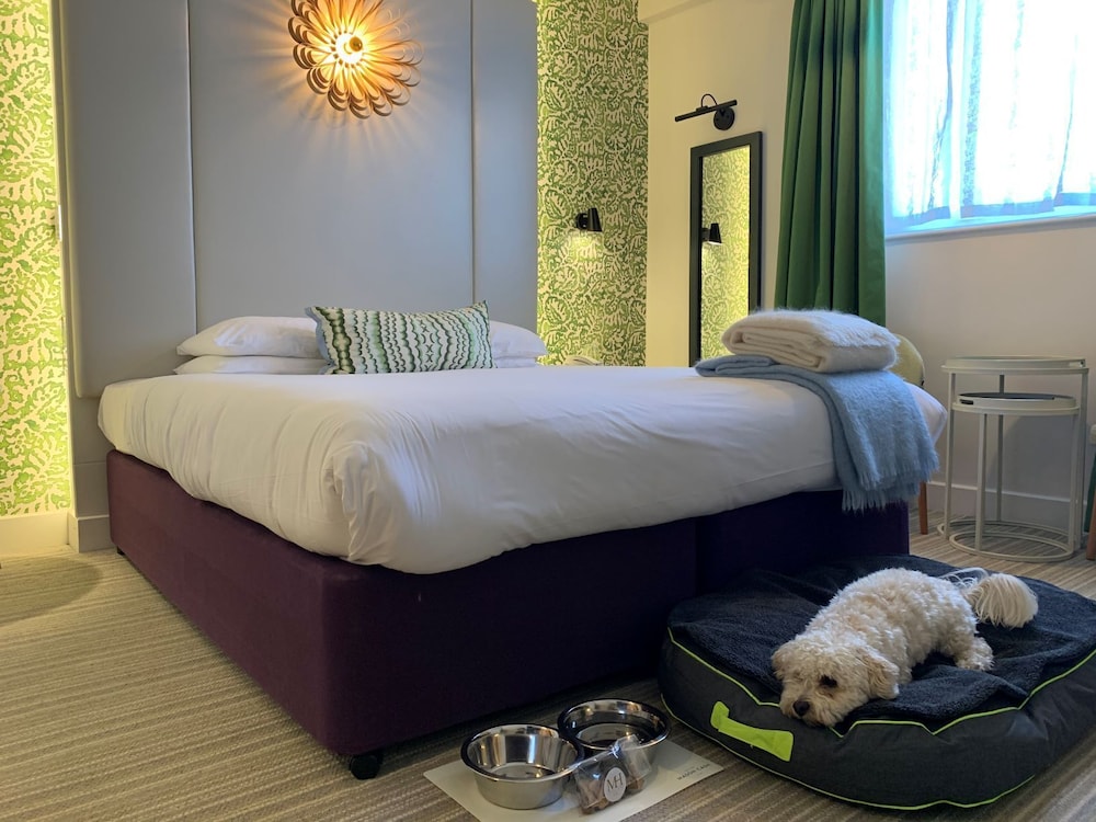 Dog Friendly Executive Double - Photo 3