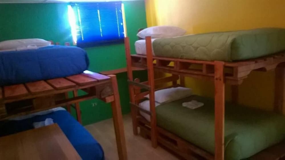 Shared Dormitory photo 1