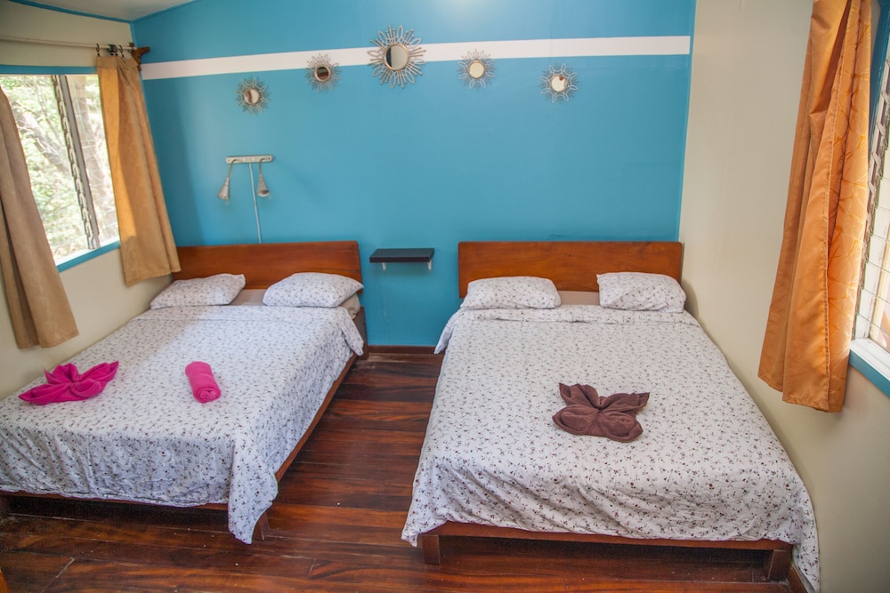 Family Studio, Multiple Beds, Kitchenette photo 2