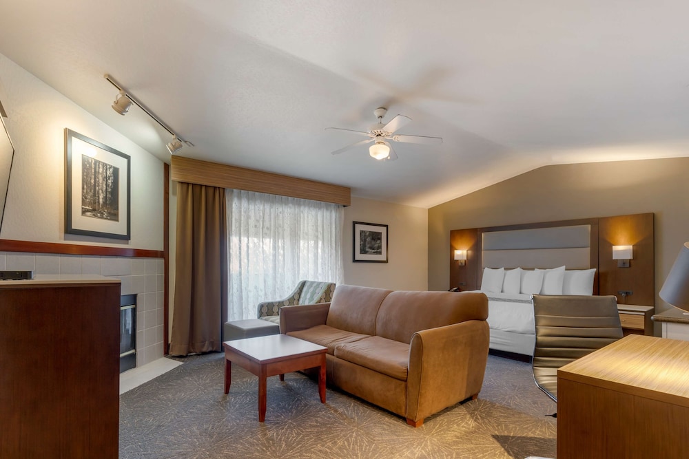 Executive Room, 1 King Bed, Non Smoking, Jetted Tub (With Sofabed) - Photo 3