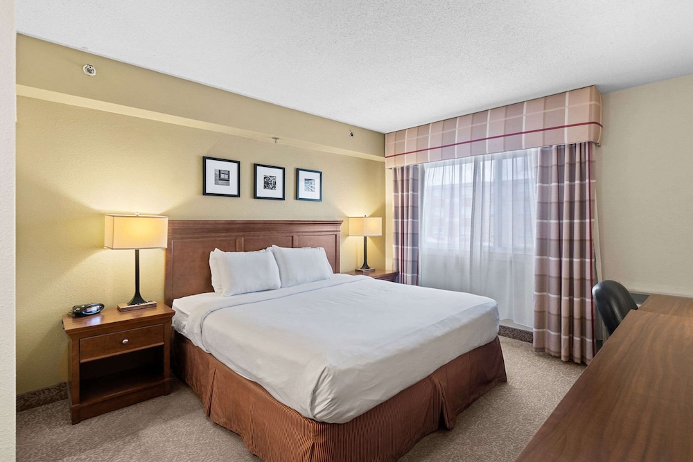 Suite, 1 Bedroom, Non Smoking - Photo 7