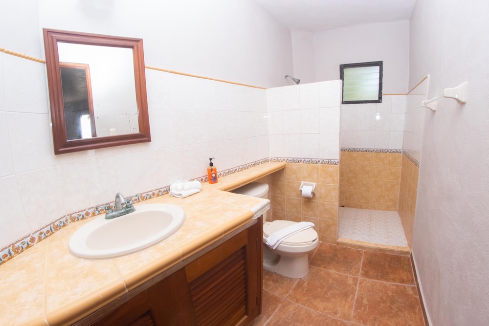 Premium Room, 1 Bedroom, Ocean View, Beachfront (Queen) photo 3