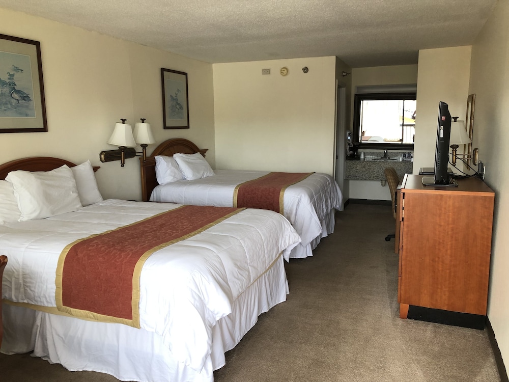 Standard Room, 2 Double Beds photo 1